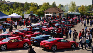 Hamilton Classic at Auto Italia 2016, Brooklands