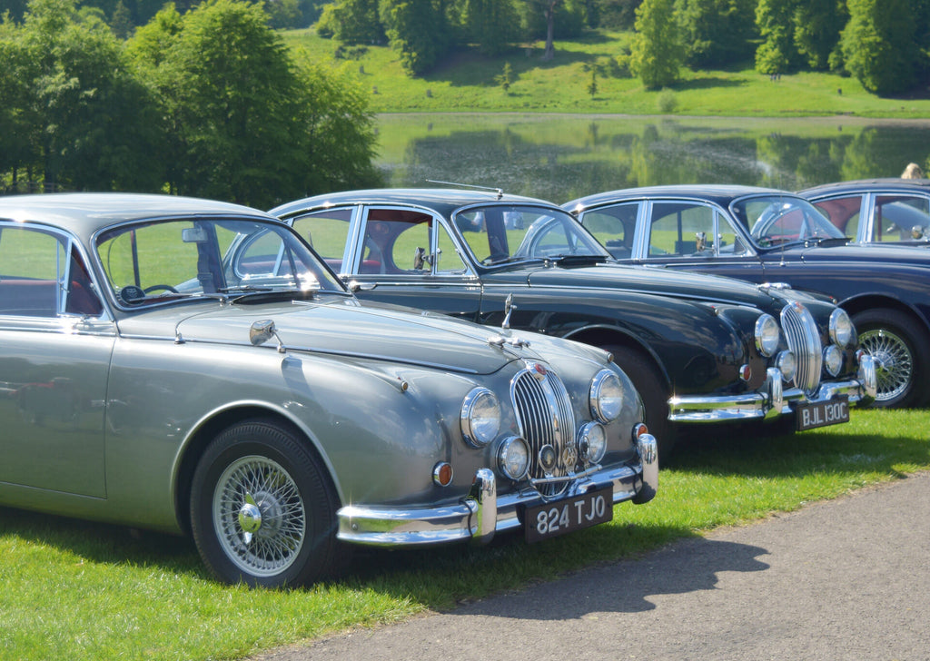 Hamilton Classic enjoy the Summer Jaguar Festival at Blenheim Palace